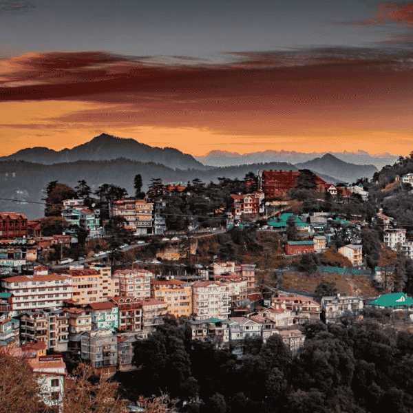 Shimla Package